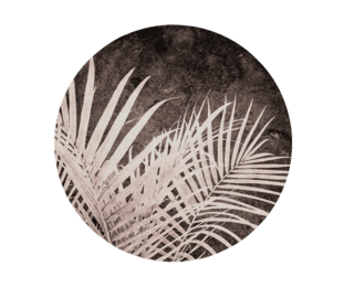 Tableau Rond L palm vintage